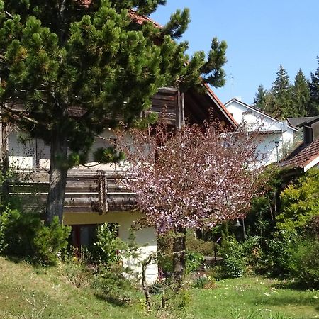 Ferienwohnung Heidi Batzlen Daisendorf Zewnętrze zdjęcie